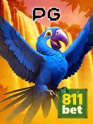 811BET bônus — cashback 15 por cento e níveis VIP